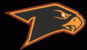 Falcons Logo