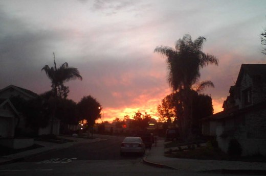 sunset-jan_1_08.jpg
