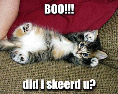 boo-did-i-skeerd-u.jpg