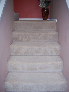 Freshly vacuumed stairs!