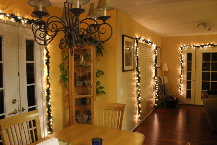 Holiday lights 2011 001