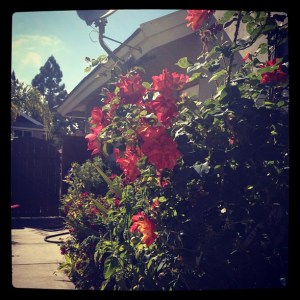 bc7e78a6bdaa11e19e4a12313813ffc0_7