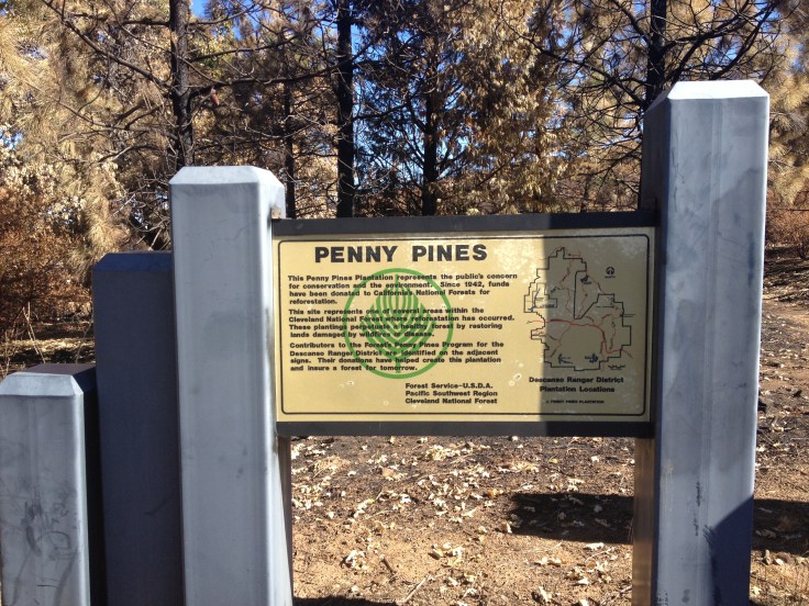 The area burned a little more than 2 weeks ago