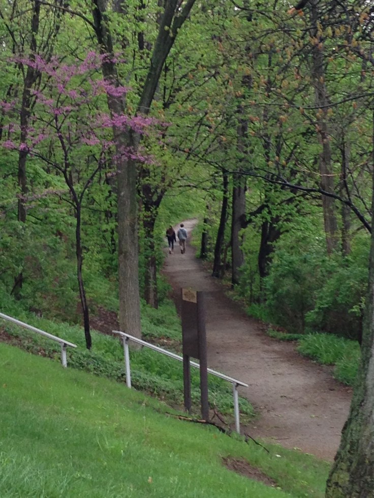 Beautiful green walking path at Notre Dame