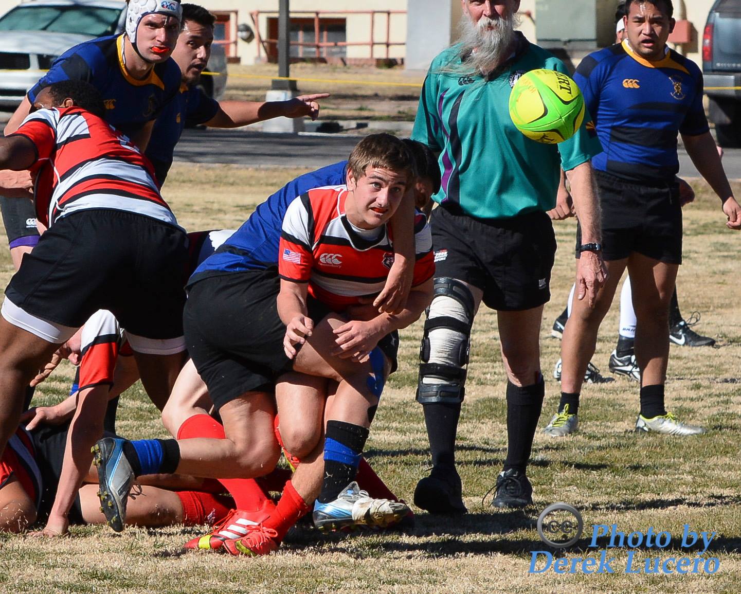 Rugby update from UNM – Trees & Flowers & Birds!